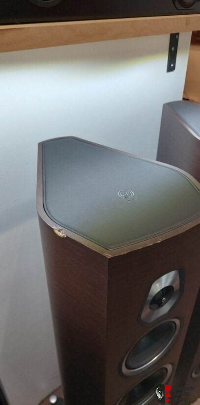 Sonus Faber Sonetto Viii Photo Canuck Audio Mart