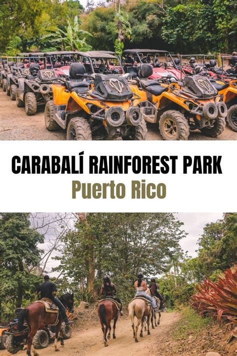 Visiting Carabal Rainforest Park In Puerto Rico Simply Wander El