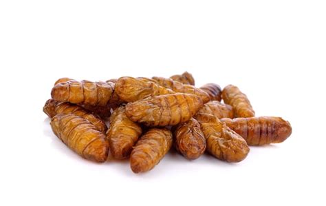 Premium Photo | Fried silkworm pupae on a white