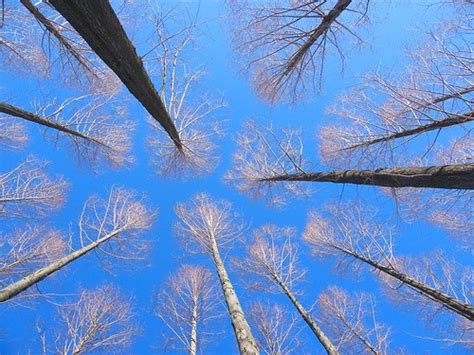 Reaching For The Winter S Sky Stanley Zimny Thank You For 64 Million