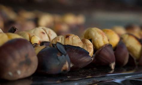 La Sagra Della Castagna A Trecchina Date