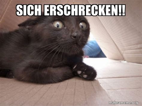 Sich Erschrecken Schitzo Cat Make A Meme