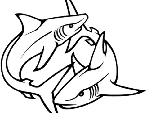 Shark Line Art Clipart Full Size Clipart 3072133 Pinclipart