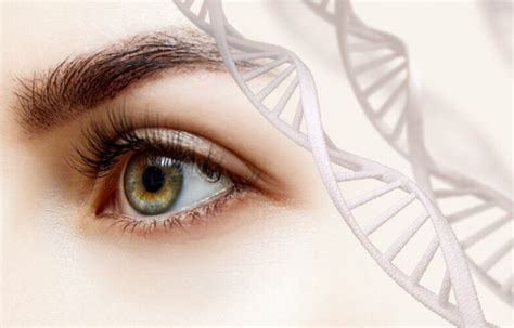 The Role Of Genetics In Eye Health | Atlantic Eye Institute