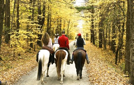 Painted Bar Stables - Trail Riding on Horseback