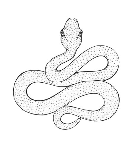 sketch snake drawing 3