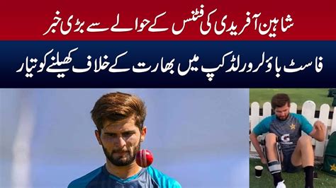 Shaheen Afridi Is Fit To Come Back In T20 World Cup 2022 After