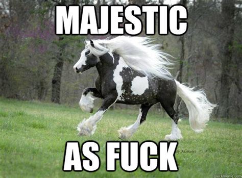 Majestic As Fuck Know Your Meme