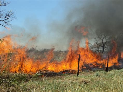 El Tipógrafo Alerta Amarilla En Las Cabras Por Incendio Forestal Que