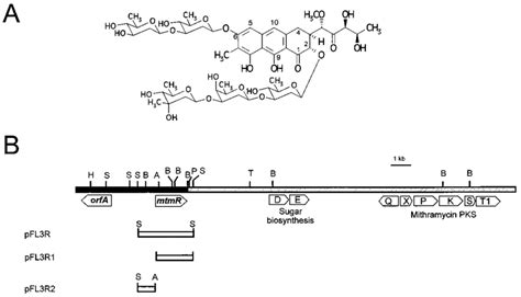 A Structure Of Mithramycin B Schematic Representation Of The