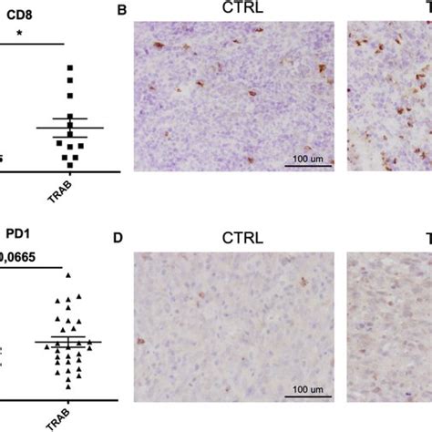 Increased Expression Of Cd And Pd In Tumors Treated With