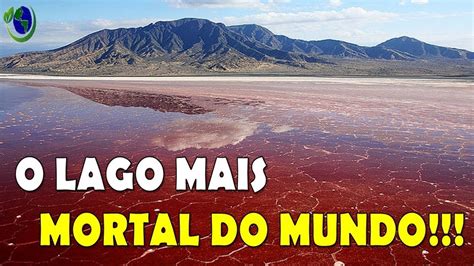 Descubra O Misterioso Lago Natron O Lago Mais Mortal Do Mundo Youtube