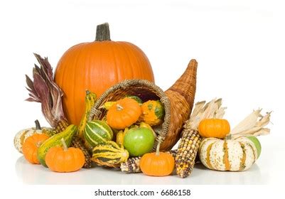 Cornucopia Fall Harvest Items Including Pumpkins Stock Photo 6686158 | Shutterstock