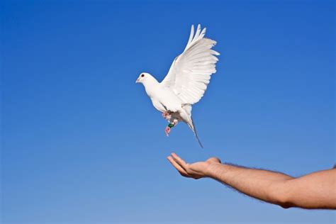 Comment réussir à lâcher prise