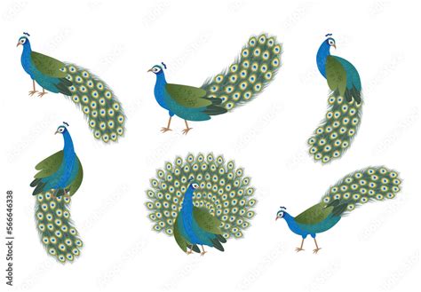 Peacock Indian Pichwai Mughal Style Peacock Bird Illustration Stock Template | Adobe Stock