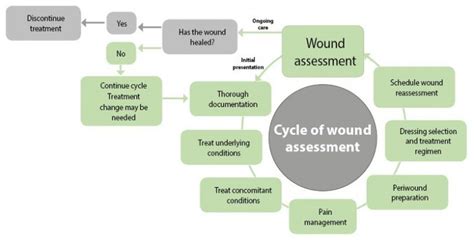 Clinical Focus Wound Assessment Woundcareie