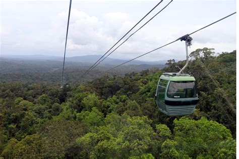 fnq cairns   great barrier reef hallomega