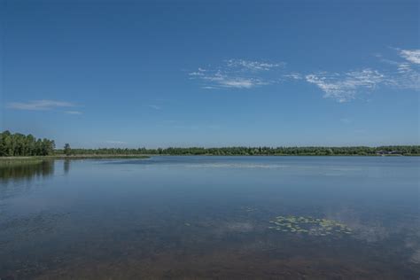 Island Lake Conservation Area: June 2020 | Miles Hearn