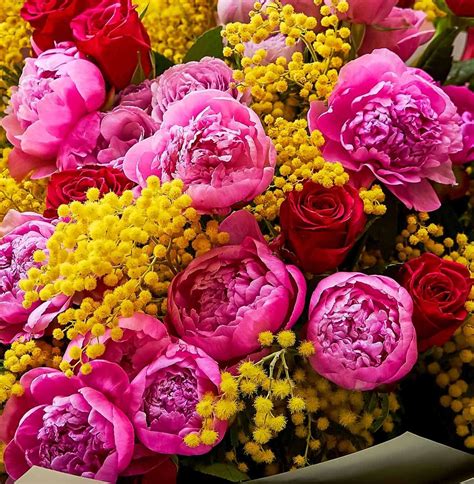 Best Flowers To Send On International Women’s Day Darcey Flowers