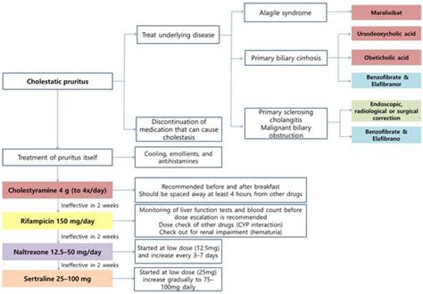 Ijms Free Full Text Pathogenesis And Treatment Of Pruritus