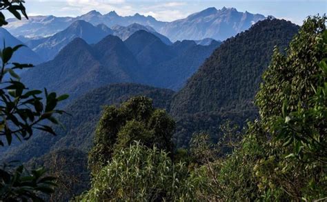 Los Andes la cadena montañosa que abraza a Ecuador Comecuamex