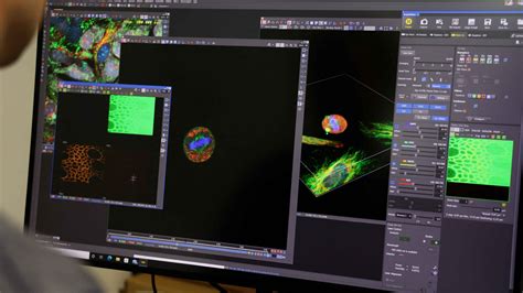 Interviews Ax Ax R With Nsparc Confocal And Multiphoton