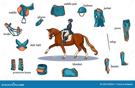 Equestrian Sport Infographics Horse Harness And Rider Equipment In The Center Of A Rider On A ...