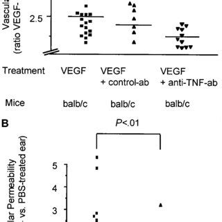 Tnf Is Essential For Vegf Induced Vascular Permeability In Vivo