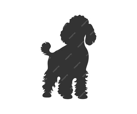 Premium Vector | Miniature poodle silhouette vector illustration design