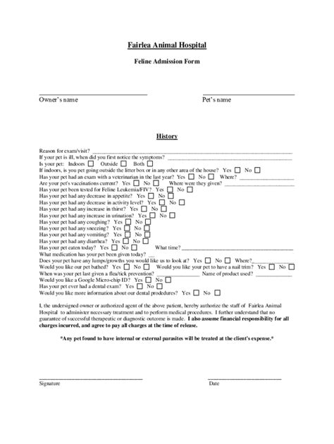 Fillable Online How To Fill Cat Application Form Important Guidelines