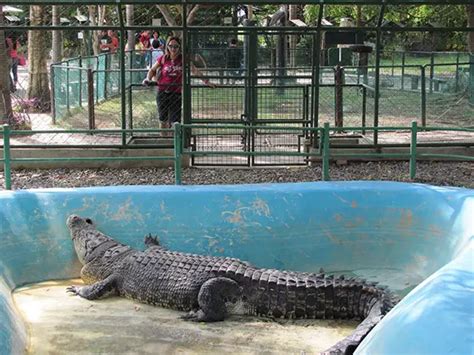 Davao Crocodile Park