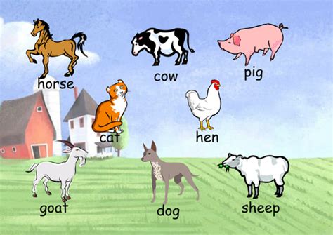 Farm Animal Word Mat Teaching Resources