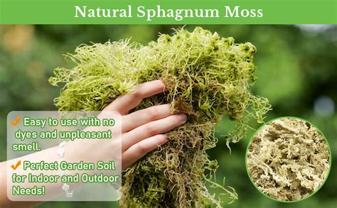 Amazon Riare 3 3 LB Premium Sphagnum Moss For Plants 60QT