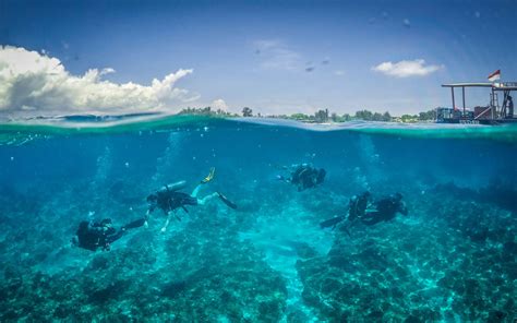 Scuba Diving Gili Islands - Fun Dive – 3W Dive Gili