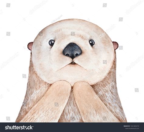 1,379 Sea otter white background Images, Stock Photos & Vectors | Shutterstock