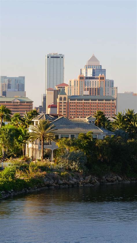 Best Things To Do In Downtown Tampa