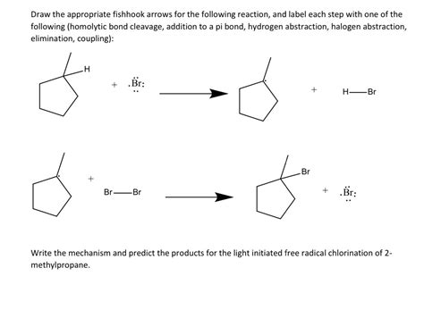 Solved Draw The Appropriate Fishhook Arrows For The Chegg