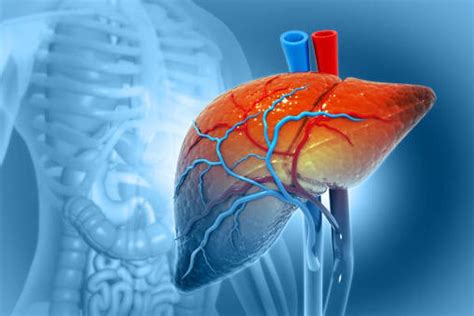 Mengenal Apa Itu Hepatitis C Gejala Penyebab Dan Cara Mengatasinya