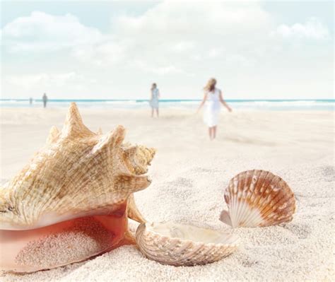 Premium Photo Beach Scene With People Walking And Seashells