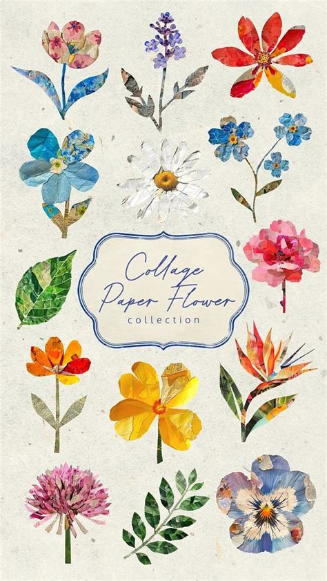 editable collage paper flower design element set premium image