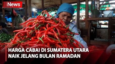 Harga Cabai Di Mandailing Natal Naik Jelang Bulan Ramadan Video