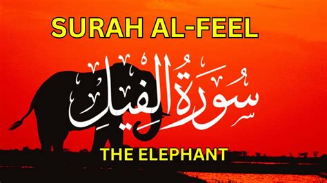 Surah Al Feel Beautiful Recitation With English Translation سورة