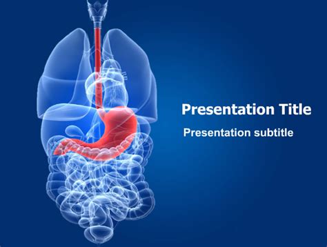 Pin On Digestive System Templates