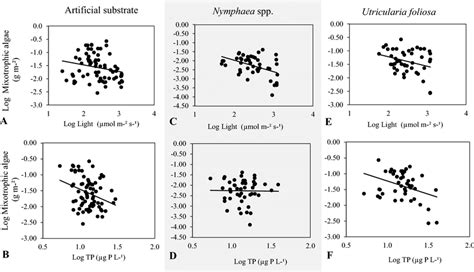 Biomass Of Mixotrophic Algae In The Periphyton On Artificial Substrate