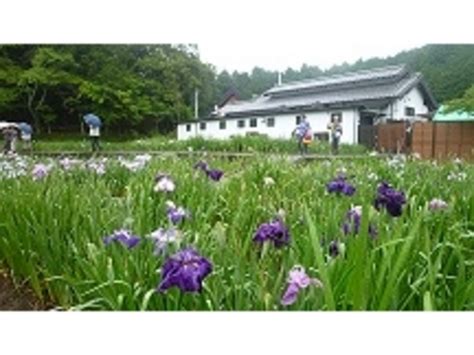 【小國神社花菖蒲園】アクセス・営業時間・料金情報 じゃらんnet