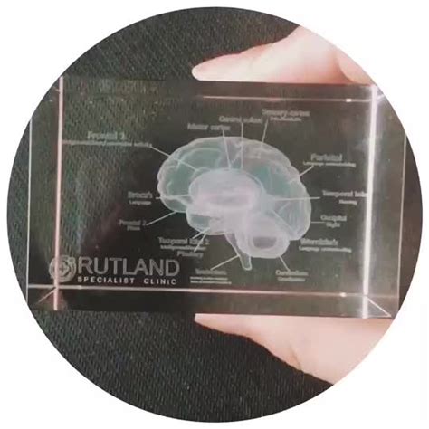 Brain Model Design Engraving Glass Block 3d Laser Crystal For Hospital