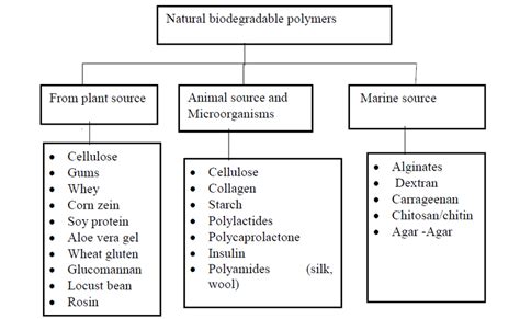 Natural biodegradable polymers. | Download Scientific Diagram