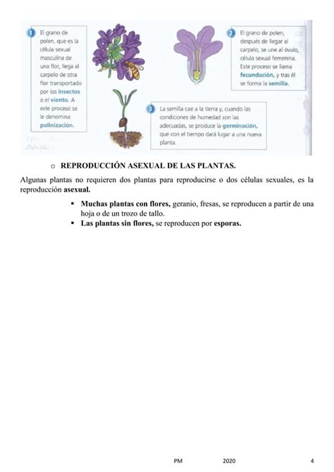 Tema 1 Los Seres Vivos Resumen Esquema PDF