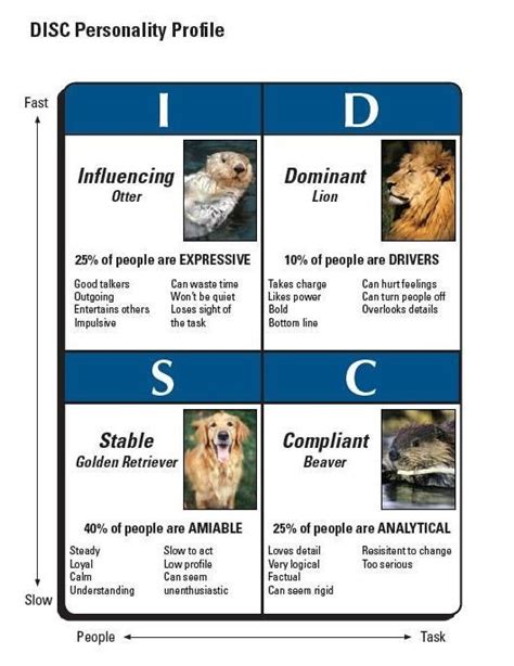 Disc profile infographic – Artofit