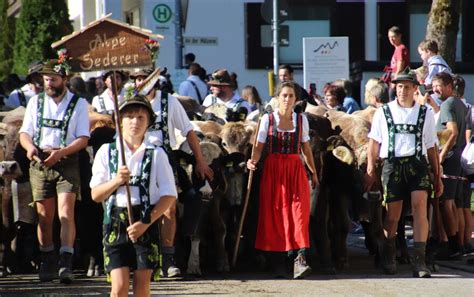 Viehscheid Immenstadt Alle Infos Termin Bilder Video Live